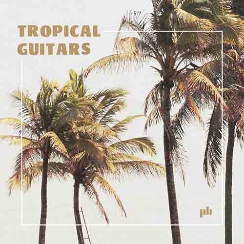 Tropical Guitars